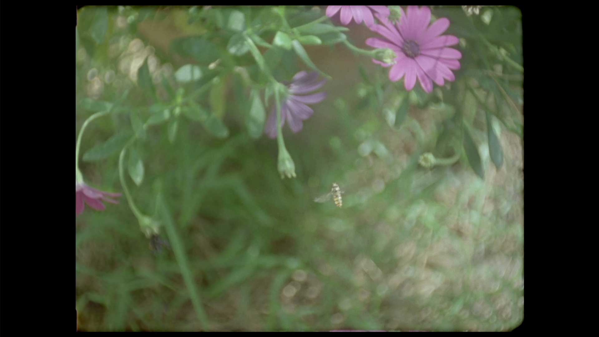 vlcsnap-2022-02-26-23h00m37s283