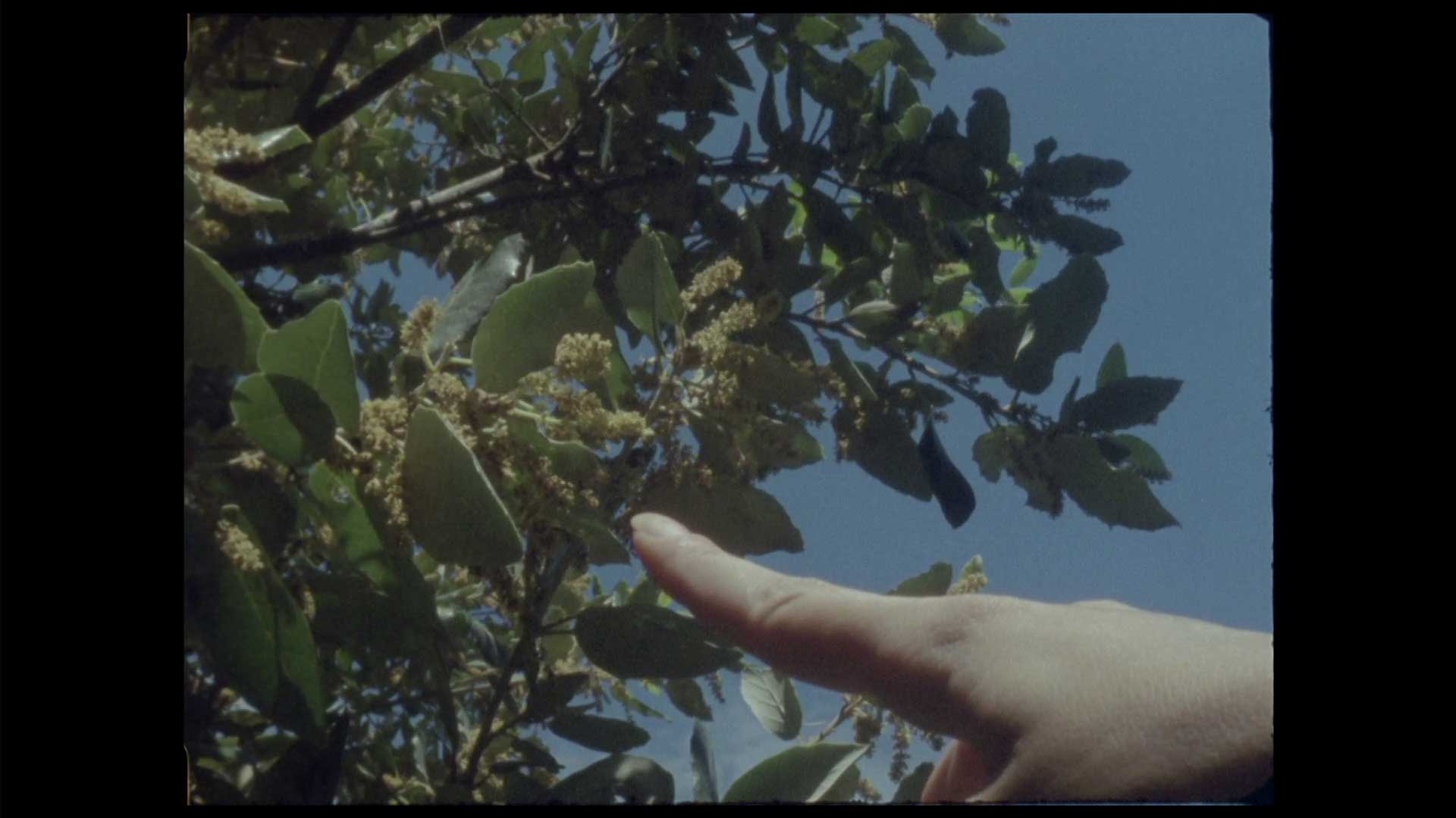 vlcsnap-2022-02-26-23h00m50s519
