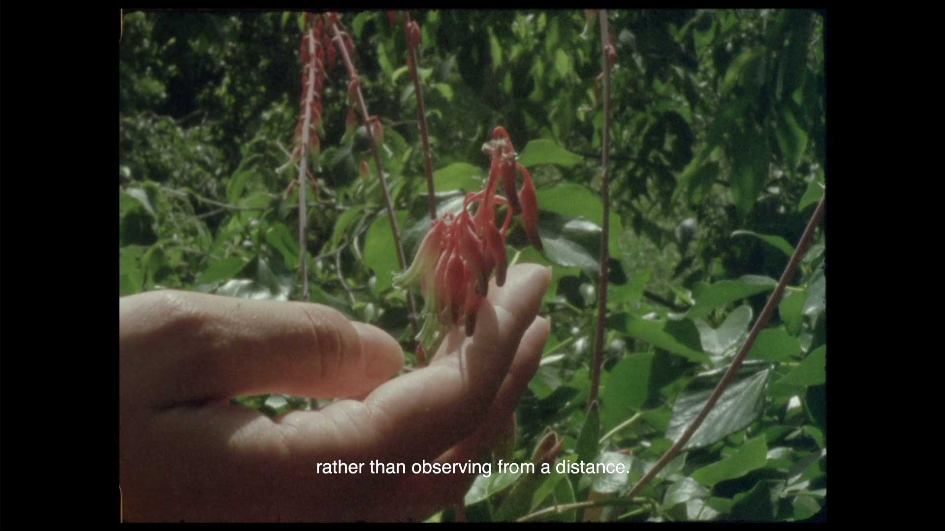 芭芭拉．桑琪絲．巴洛索 & 雅德阿娜．維拉．格瓦拉