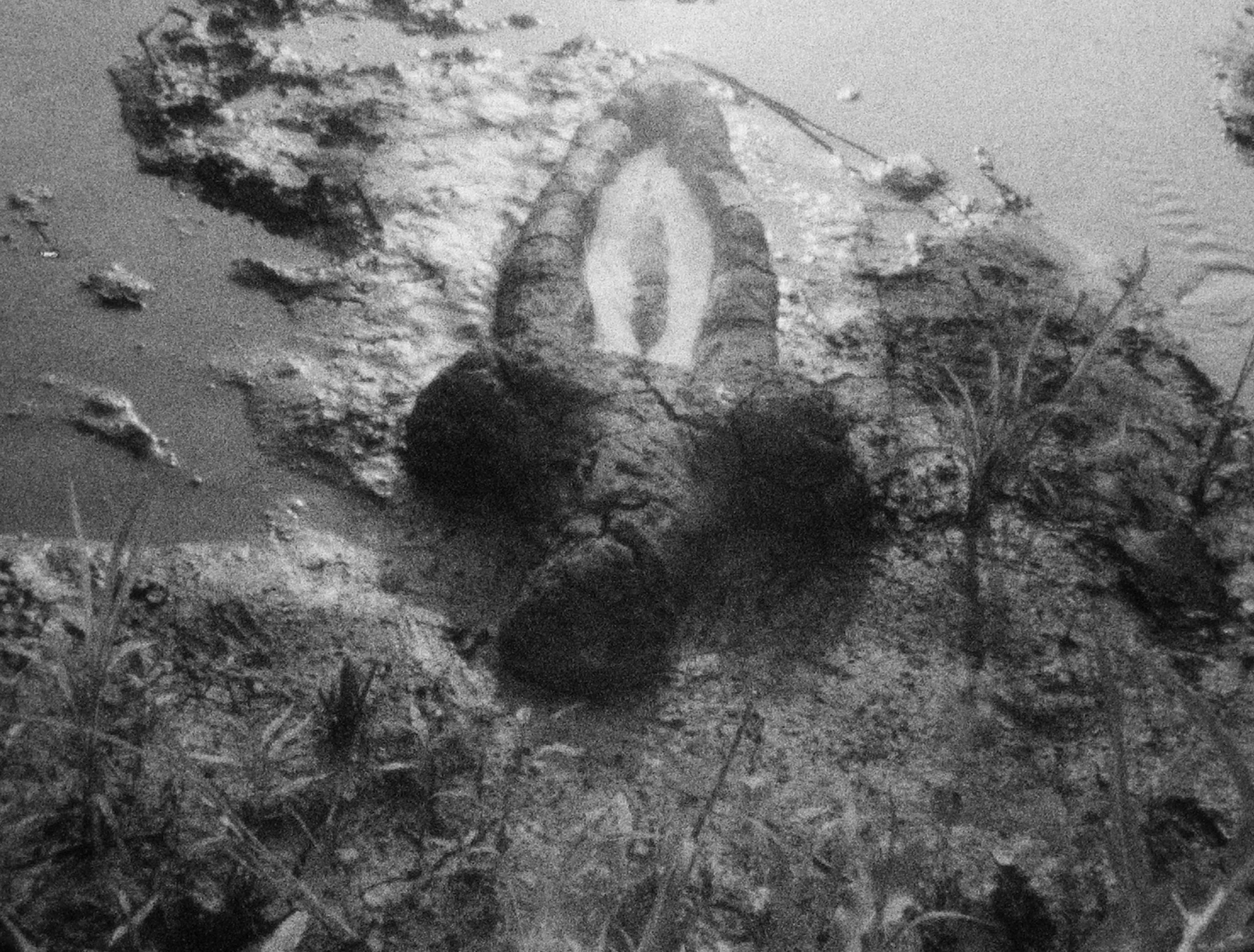 GP 1662 – Birth (Gunpowder Works)_1