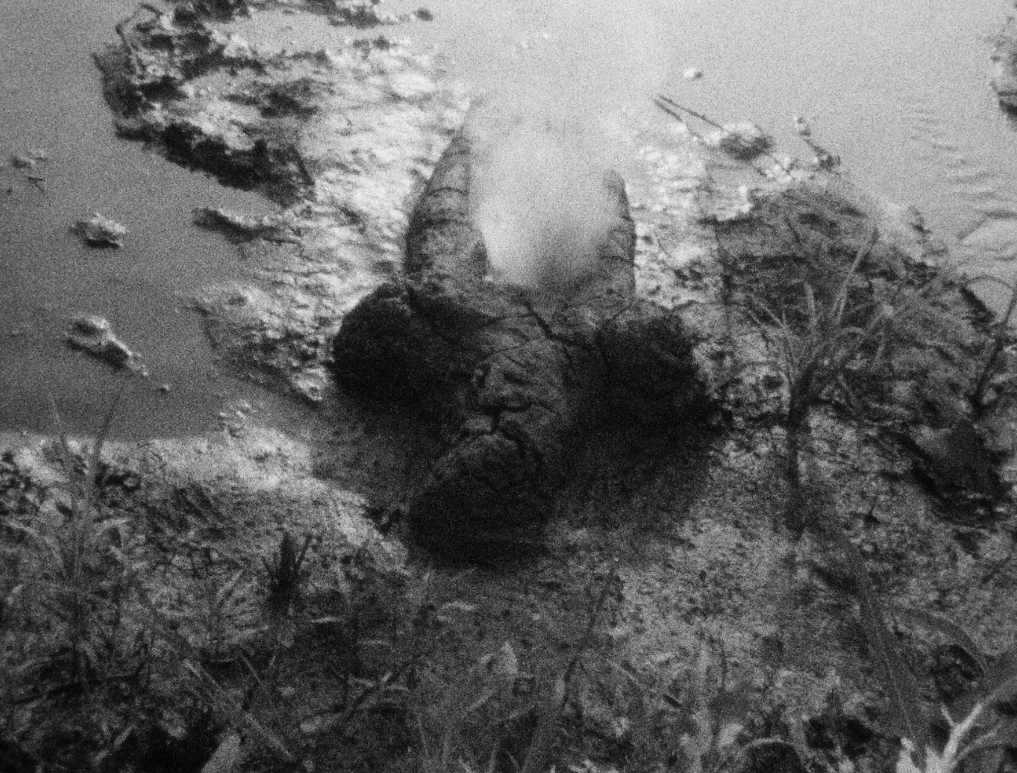GP 1662 – Birth (Gunpowder Works)_2